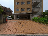 建物の外観