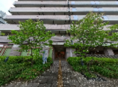 緑豊かな建物の外観