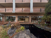 自然に囲まれた建物の外観