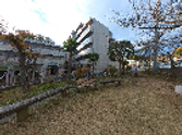 中庭の風景