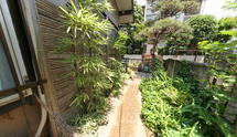 施設の外観と植物