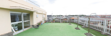 屋上に設けられた緑豊かな庭園