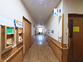明るい廊下の様子