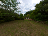 緑豊かな庭園