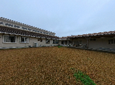 広大な芝生と建物