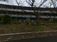 自然に囲まれた建物