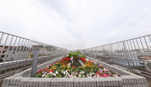 屋上の安全な歩道と花壇