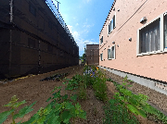 整備された戸建ての外観