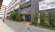 緑豊かなエントランス周辺の風景