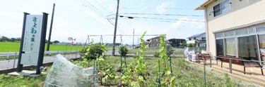 介護施設と花壇の風景