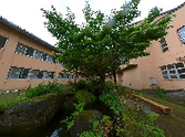 緑豊かな庭園のある施設