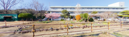 緑豊かな施設環境