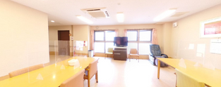 広々とした居住空間