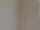 広い廊下