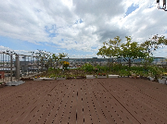 屋上テラスの風景