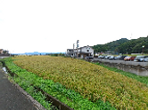 心地よい環境の居住区