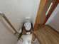 清潔なトイレ設備