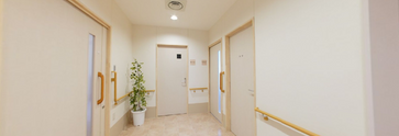 職場としての光が差す廊下