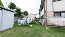 職員向けの緑豊かな施設風景