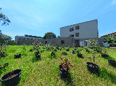 介護施設の庭園と建物