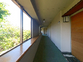 自然光あふれる廊下