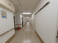 明るく開放的な廊下空間