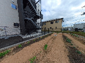 円形の建築と緑の庭園