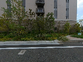 緑に囲まれた建物