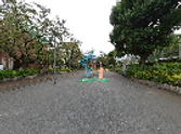 穏やかな光景の庭園