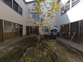 自然光の広場