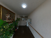 観葉植物のある廊下