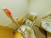 ケアの行き届いた清潔な洗面所