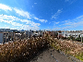 屋上の広々とした空間