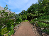 庭園のパノラマ風景