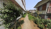緑豊かな介護施設の外観