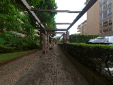 緑豊かな散策路