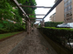 緑豊かな散策路