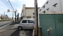 桜並木の通り景色
