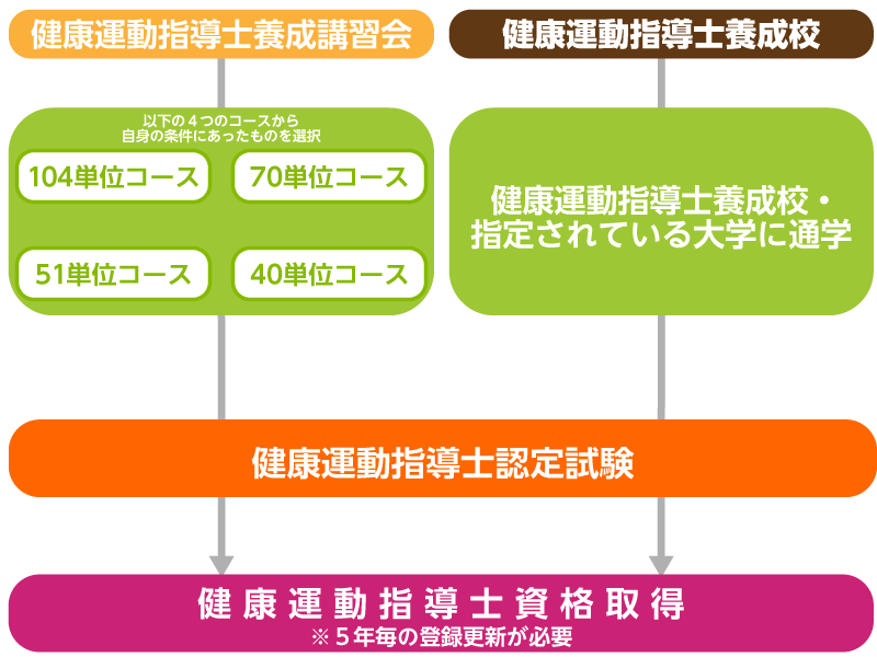 健康運動指導士とは？仕事内容や受験資格、就職先などを詳しく解説